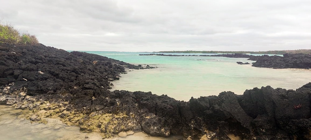 Descubre la historia y cultura única de las Islas Galápagos con opciones económicas